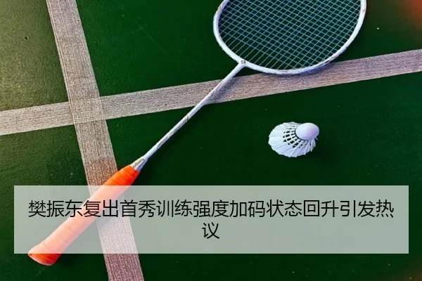 樊振东复出首秀训练强度加码状态回升引发热议